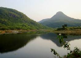 Ajodhya Hill and Forest Reserve Area