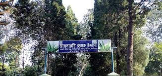 Amlachati Medicinal Garden