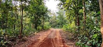 Kankrajhore Forest