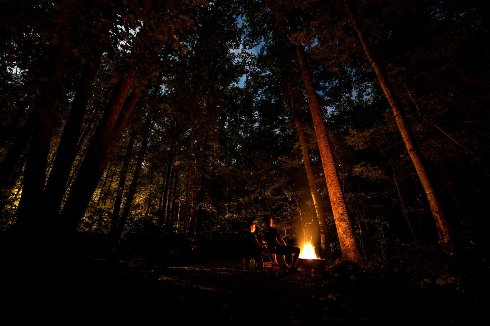 Bonfires & Stargazing