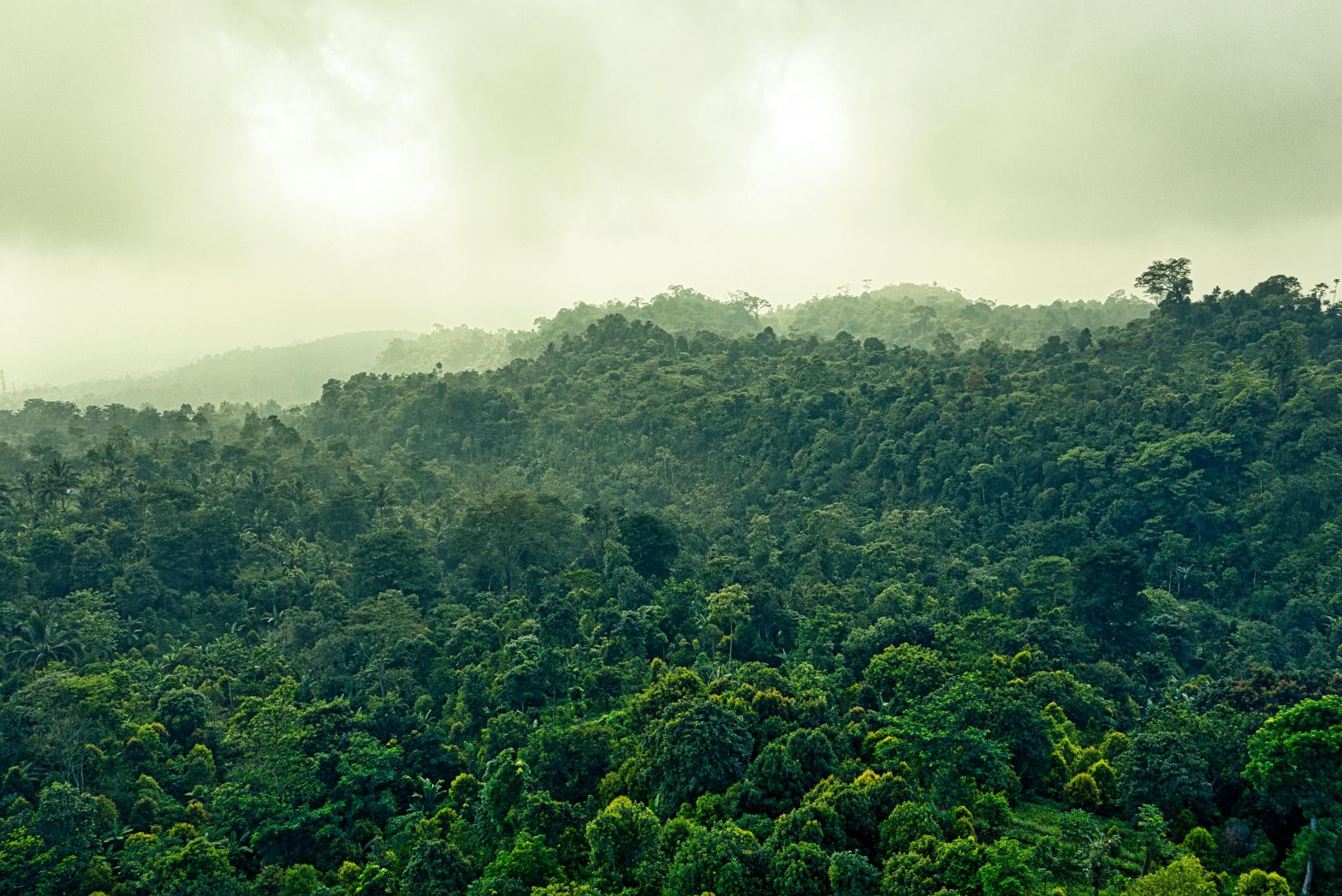 Reconnect with Nature